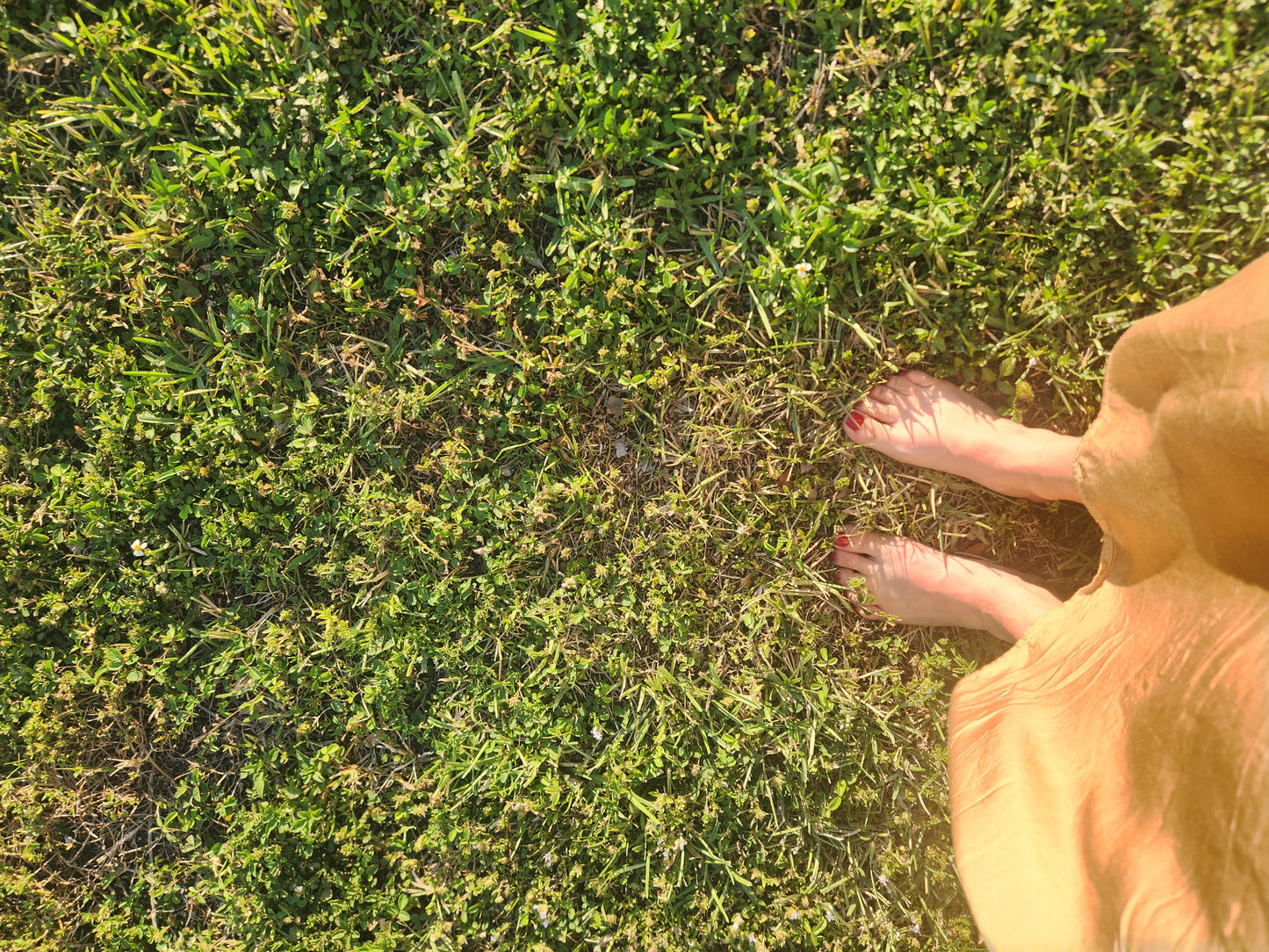 Complimentary Spiritual and/or Herbal Plant Medicine Consultation (15 minute CALL)